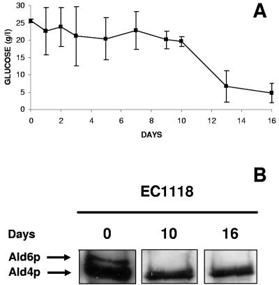 FIG. 5.