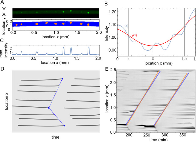 Figure 1—figure supplement 1.