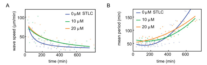 Figure 2—figure supplement 2.