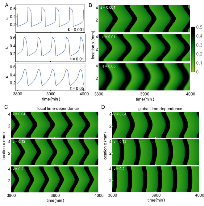 Figure 4—figure supplement 2.