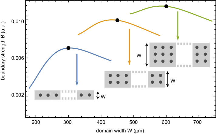 Figure 3—figure supplement 6.