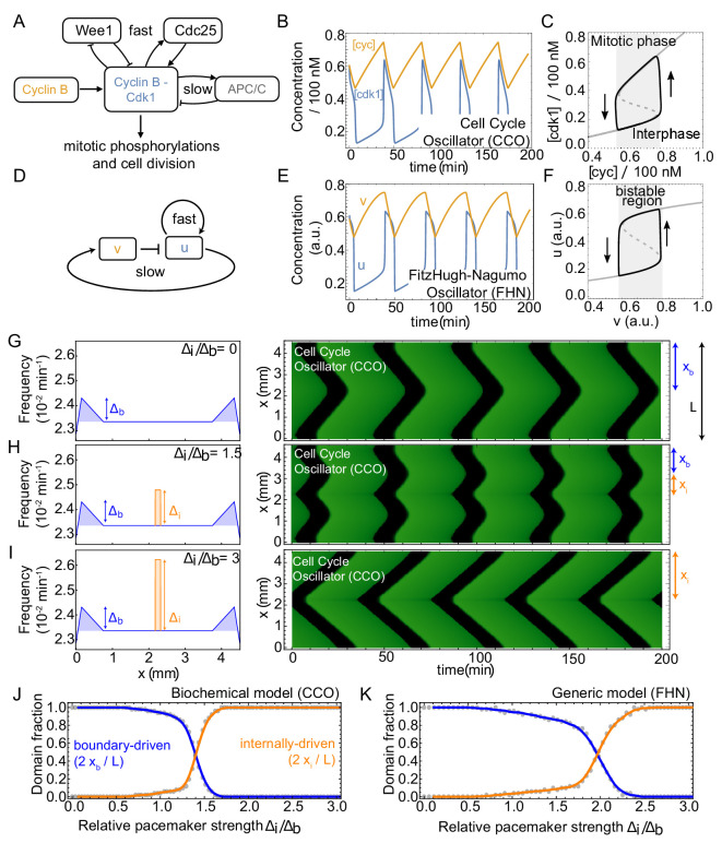 Figure 4—figure supplement 1.