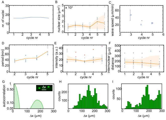 Figure 1—figure supplement 2.