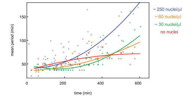 Figure 2—figure supplement 1.