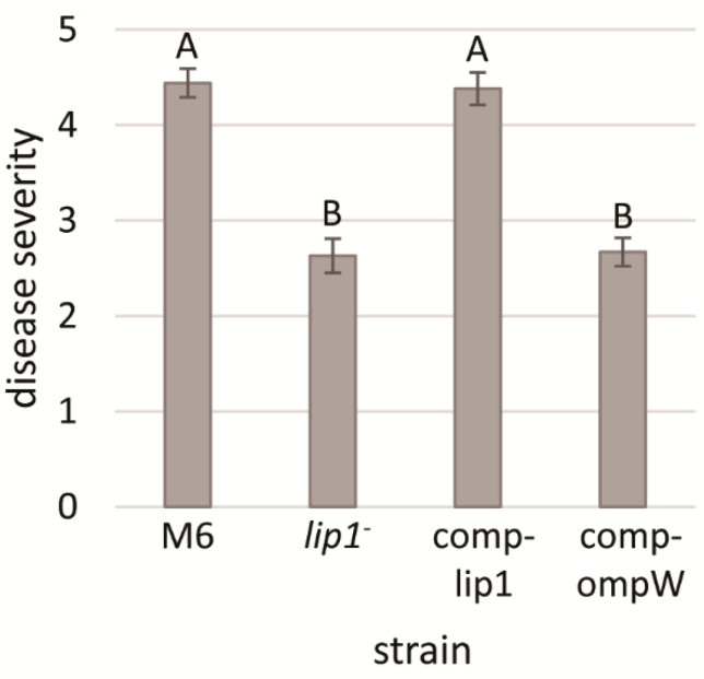 Figure 5