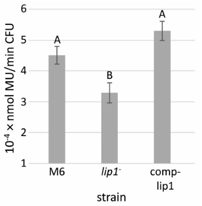 Figure 7