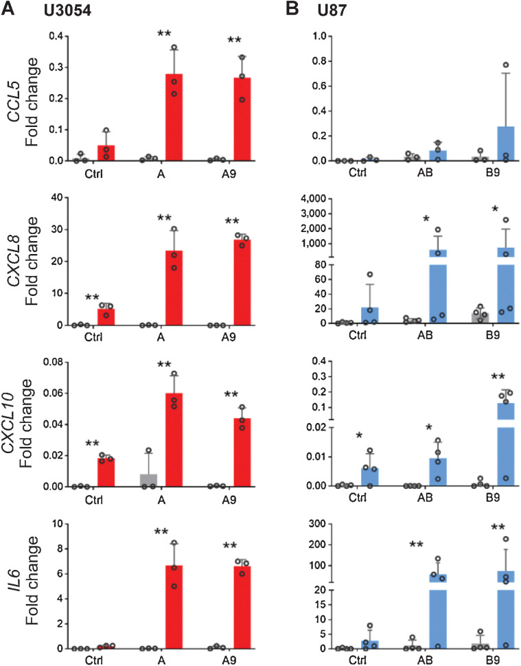 Figure 4. Induced reactive response in converted cells. Cytokine expression in (A) U3054 and (B) U87, upon stimulation. Shown is relative magnitude (fold increase) in CCL5, CXCL8, CXCL10, and IL6 expression after 8-hour stimulation with 10 ng/mL IL1β. The relative magnitude in increase is normalized to GAPDH expression and relative to control. One-tailed ratio paired t test comparing cells treated or untreated with respective transcription factors protocols. *, P < 0.05; **, P < 0.01. n ≥ 3 independent experiments for each experimental condition.