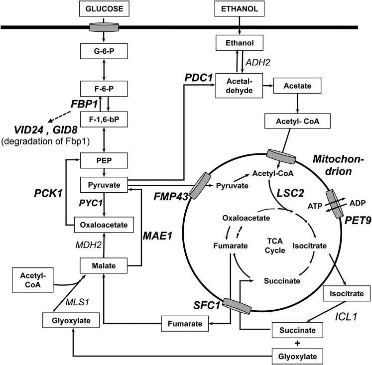 Figure 9