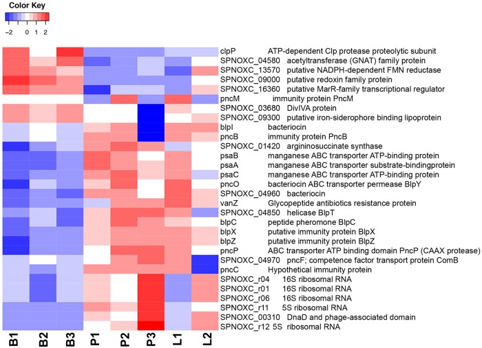 FIG 6