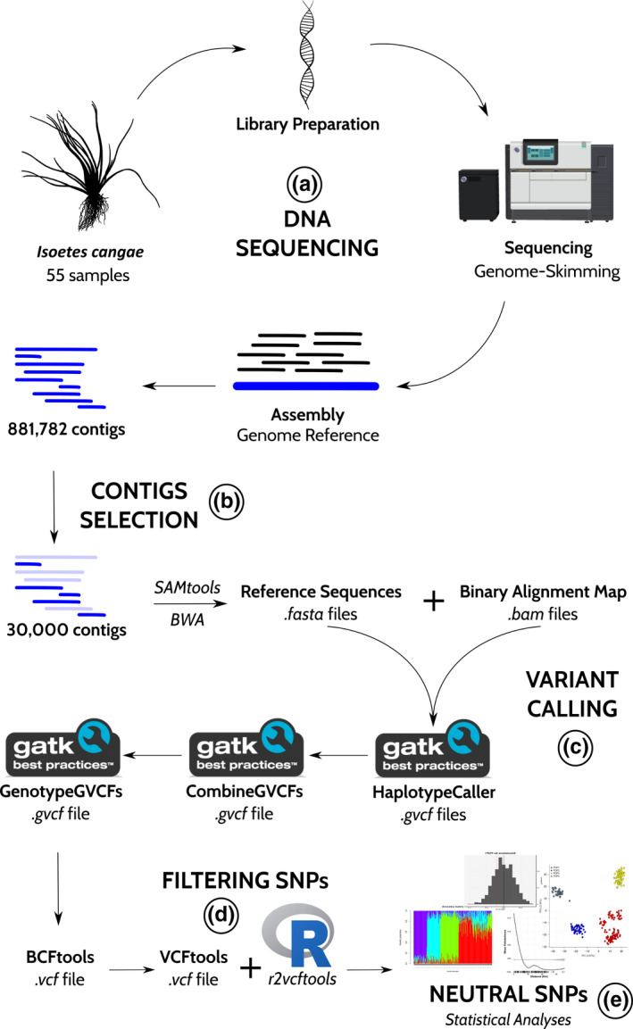 FIGURE 2