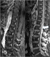 Fig. 2b