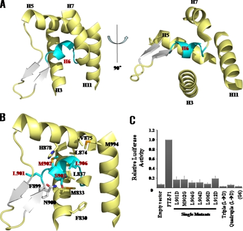 FIGURE 3.