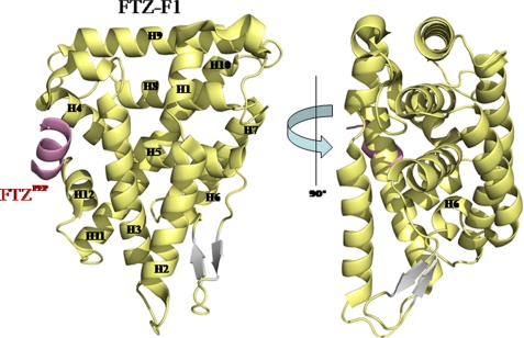 FIGURE 1.