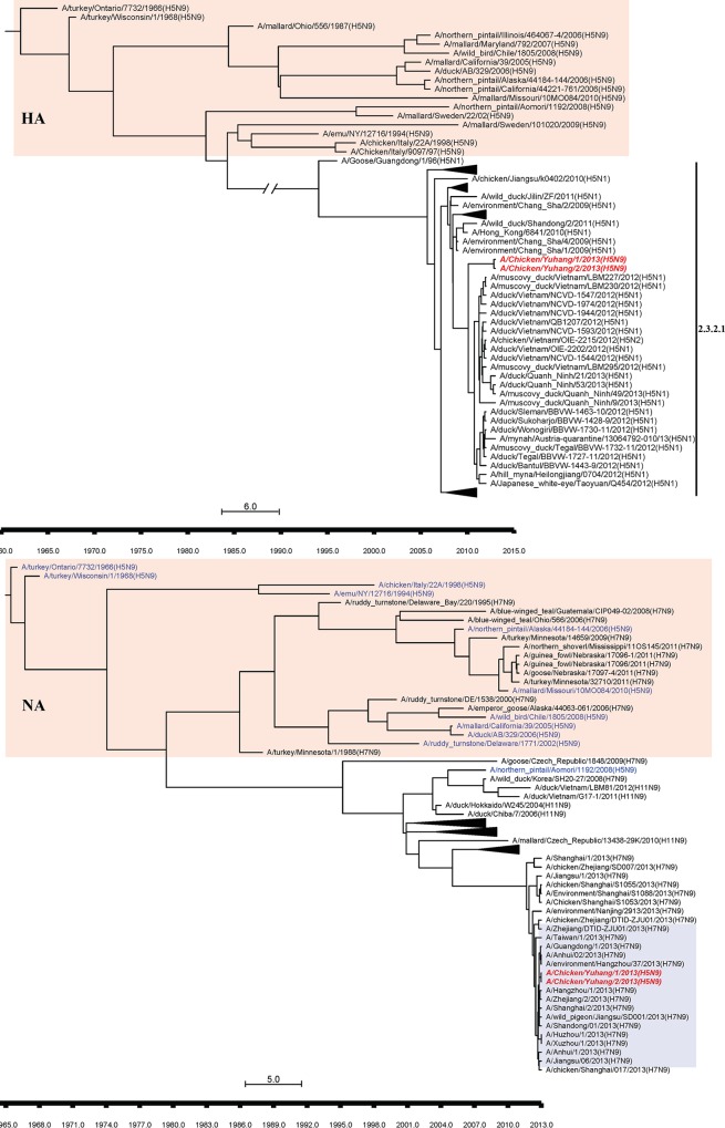 FIG 2