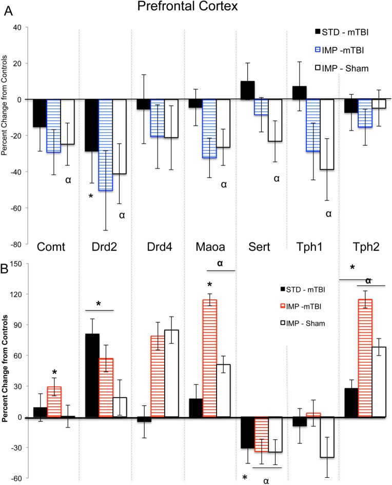 Fig 10