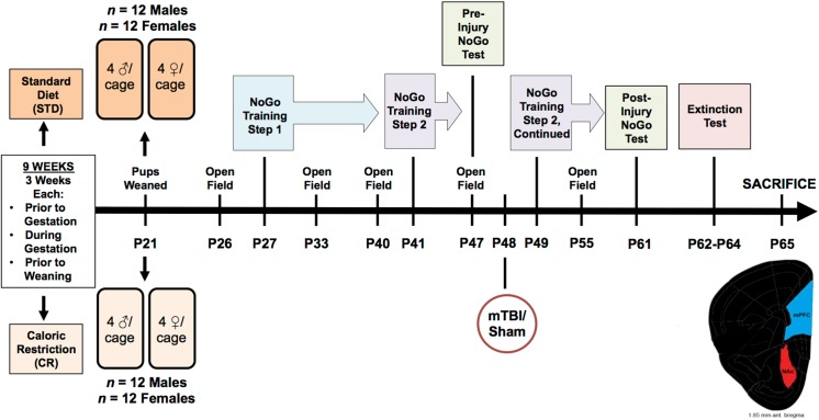 Fig 1