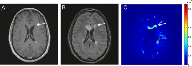 Fig. 5