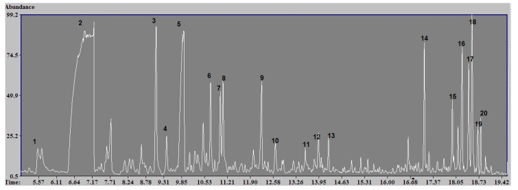 Figure 2