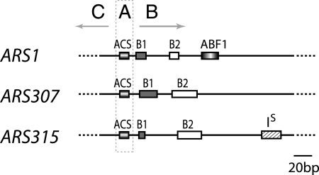 FIG. 1.