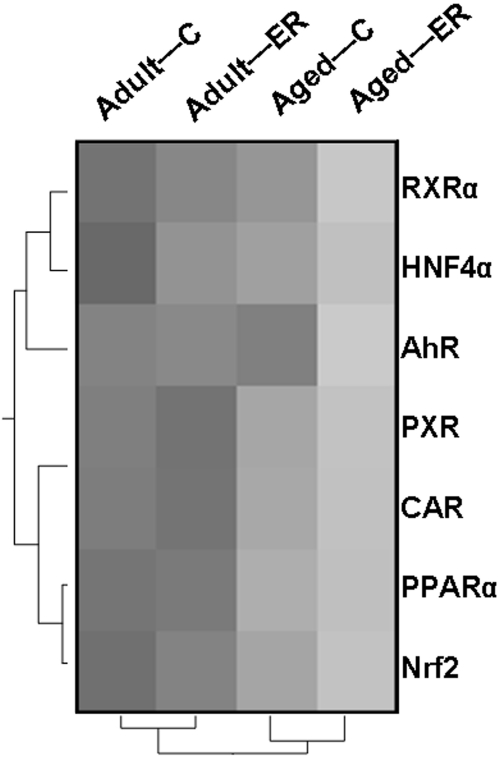 Fig. 11.