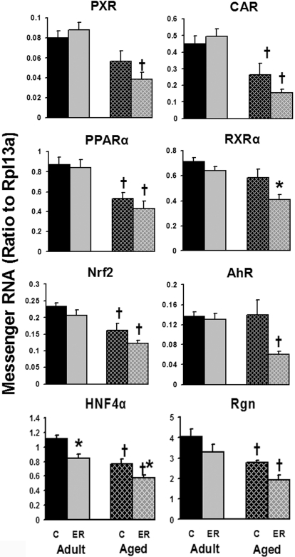 Fig. 9.