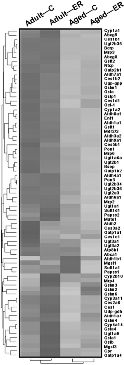 Fig. 10.