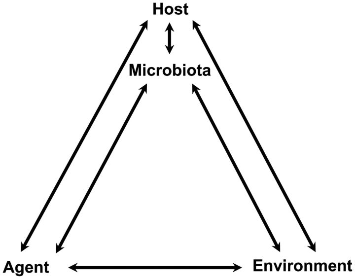 Figure 1.