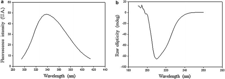 Fig. 5