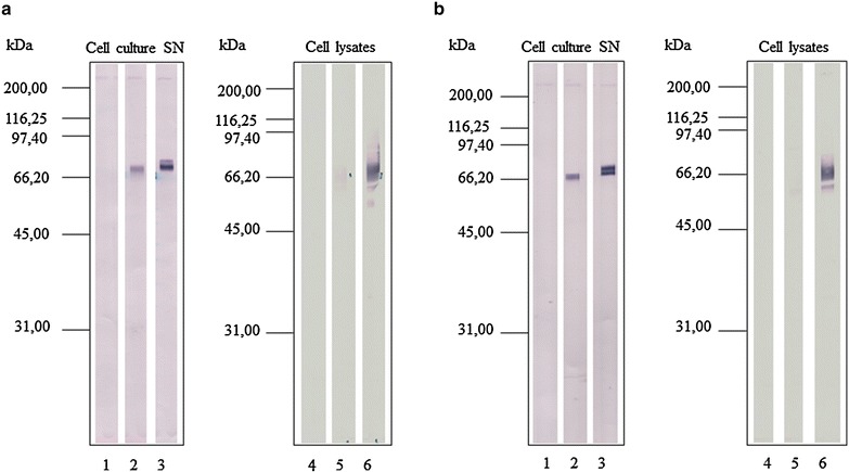 Fig. 3