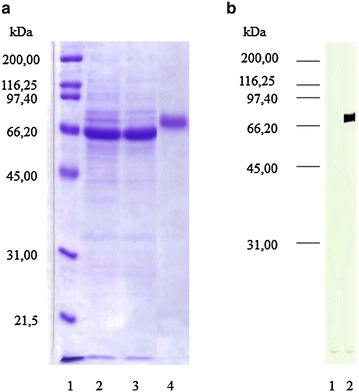 Fig. 4