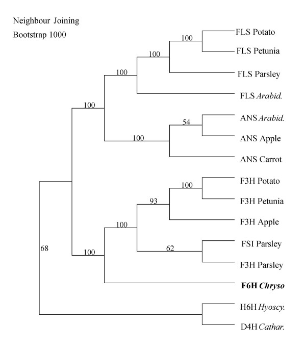 Figure 7