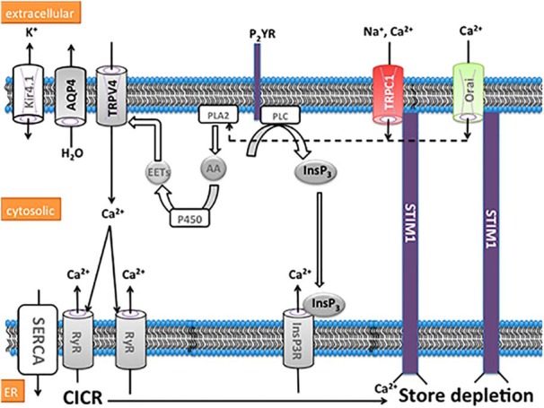 Figure 10.