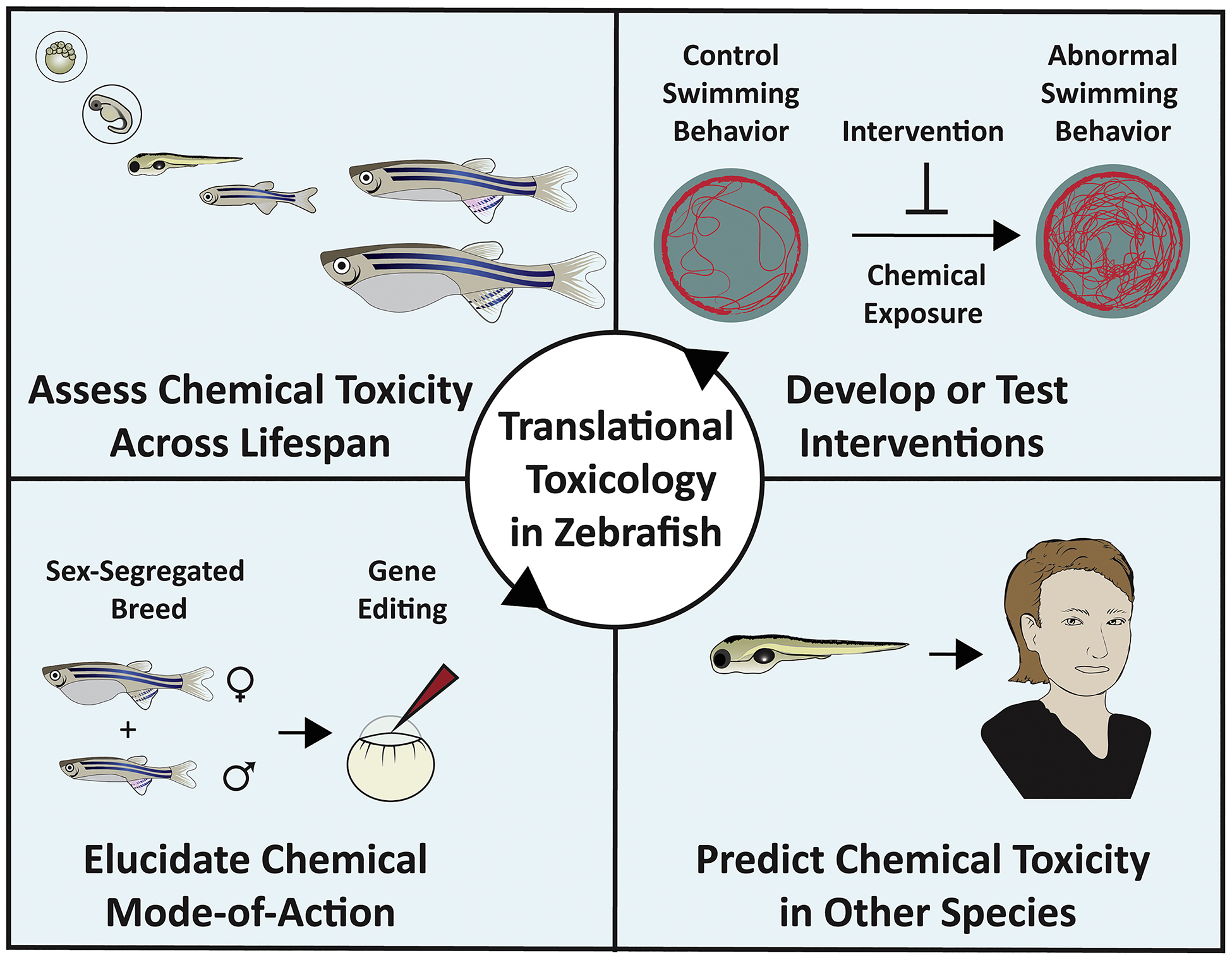 Figure 2: