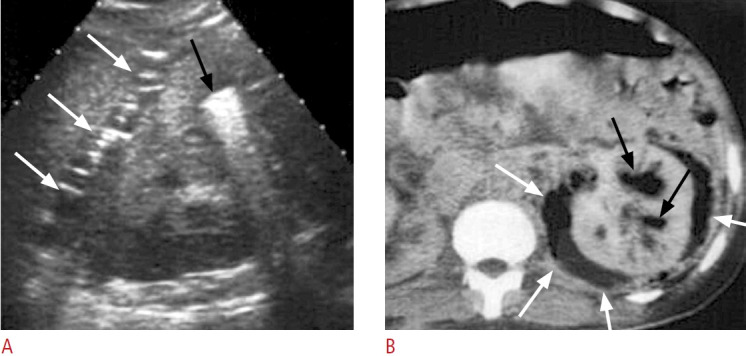 Fig. 9.