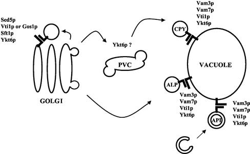 Figure 10.