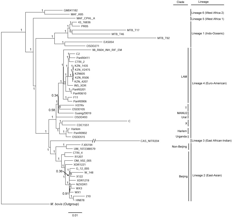 Fig 1