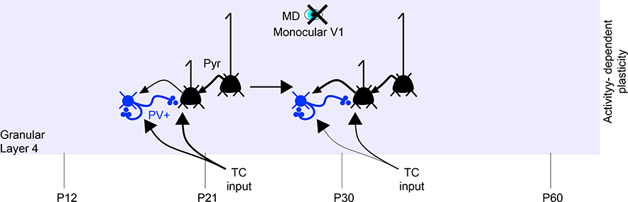 Figure 5.