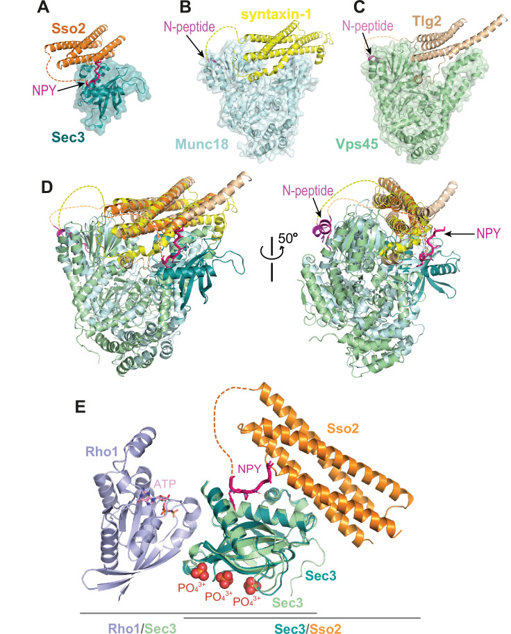 Figure 9.