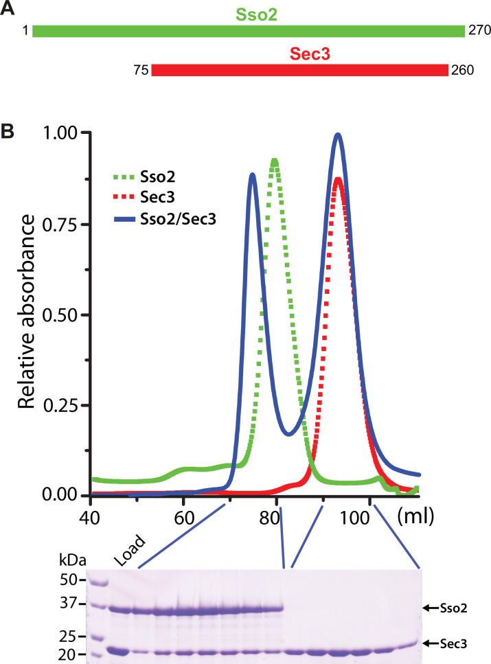 Figure 1—figure supplement 1.