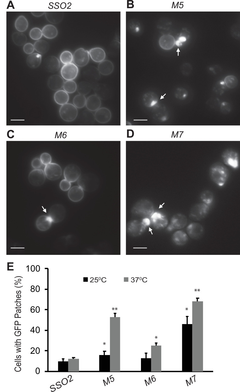 Figure 6.