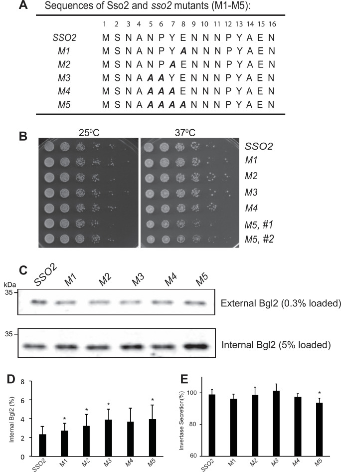 Figure 4—figure supplement 1.