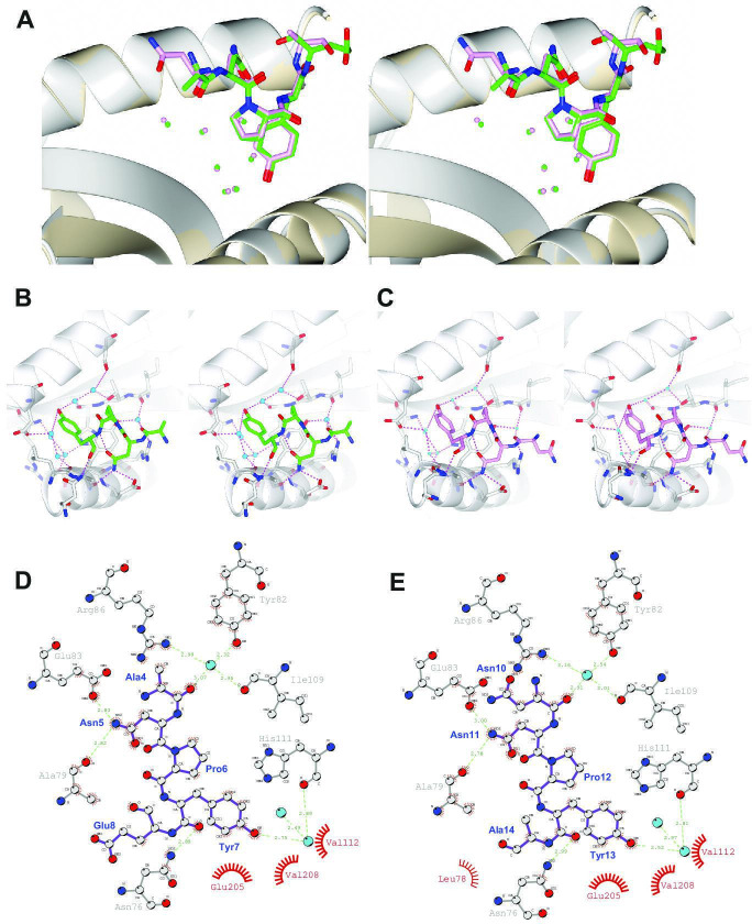 Figure 2—figure supplement 2.