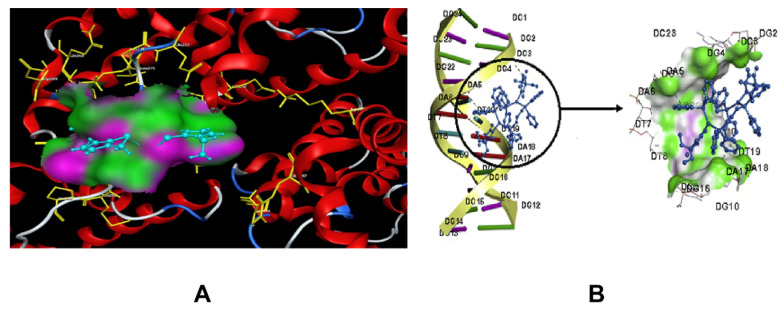 Figure 11