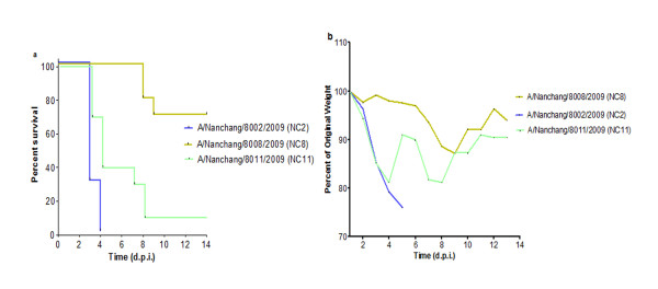 Figure 3 