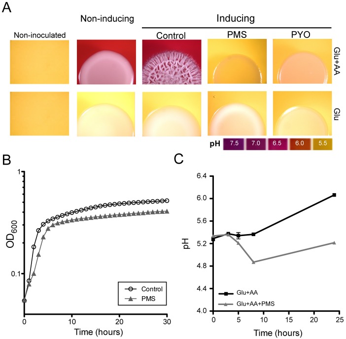 FIG 2 