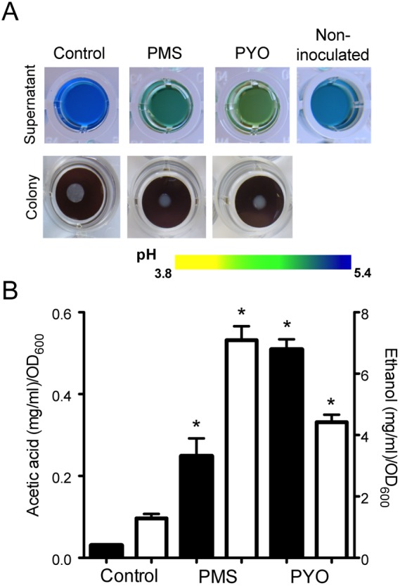 FIG 3 