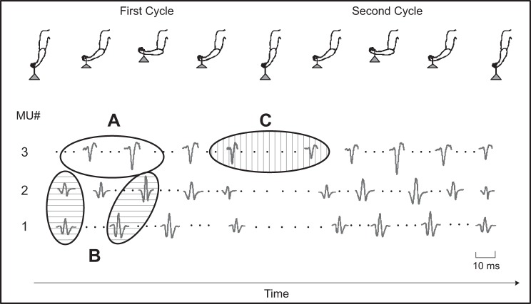 Fig. 1.