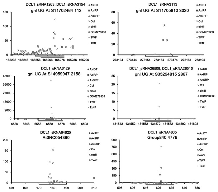 graphic file with name rna-11-373-g4.jpg