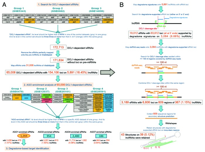 graphic file with name rna-11-373-g1.jpg