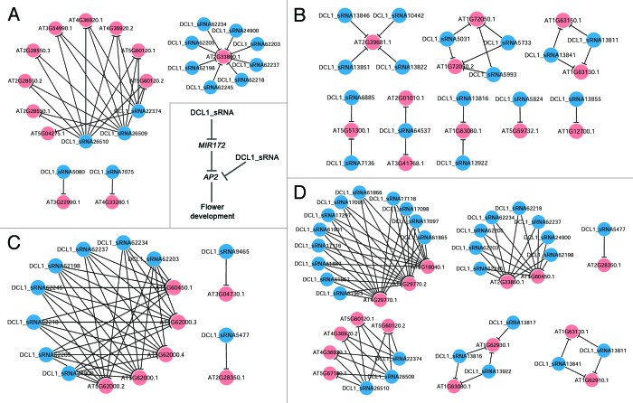 graphic file with name rna-11-373-g5.jpg